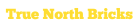 True North Bricks logo