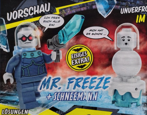 212601-1 Mr. Freeze with Snowman