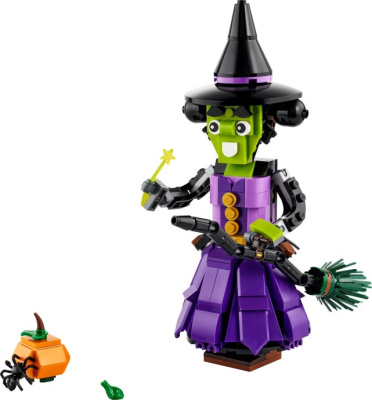 40562-1 Mystic Witch