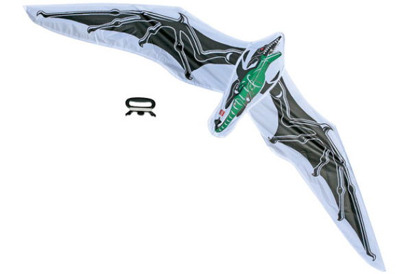 4296984-1 Dino 2010 Kite