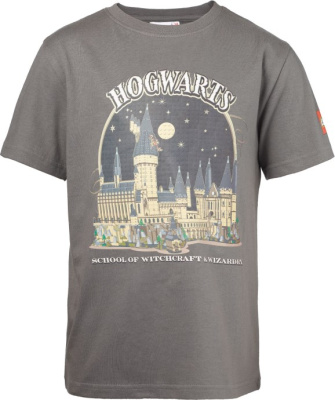 5008033-1 Harry Potter T-Shirt Gray