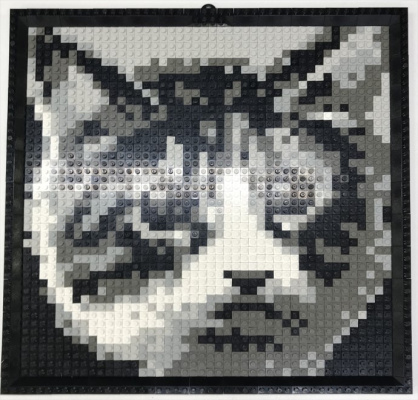 K34431-1 Mosaic Cat