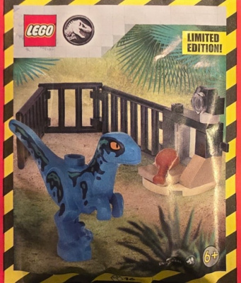 L0002262-1 Raptor in Enclosure