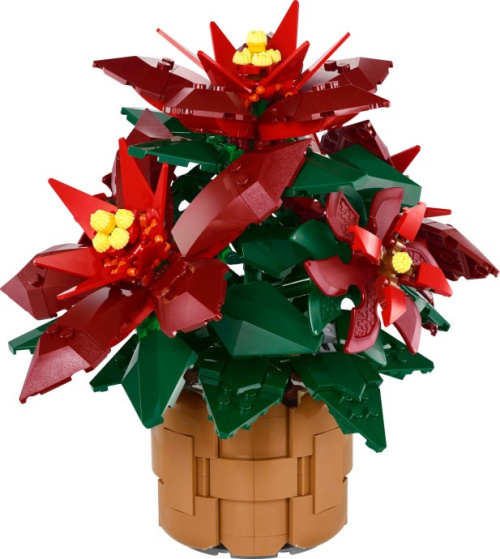 10370-1 Poinsettia