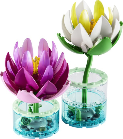 11511-1 Water Lilies