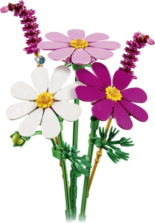 11514-1 Cosmos Flowers