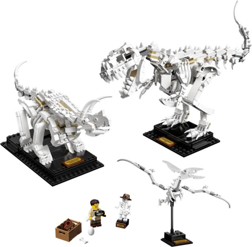 21320-1 Dinosaur Fossils