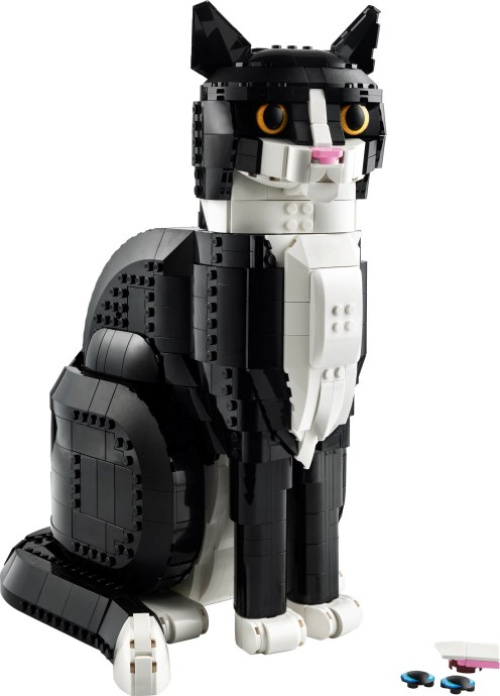 21349-1 Tuxedo Cat