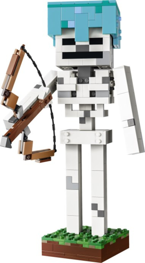 21594-1 The Skeleton