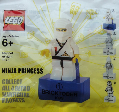 2856223-1 Ninja Princess