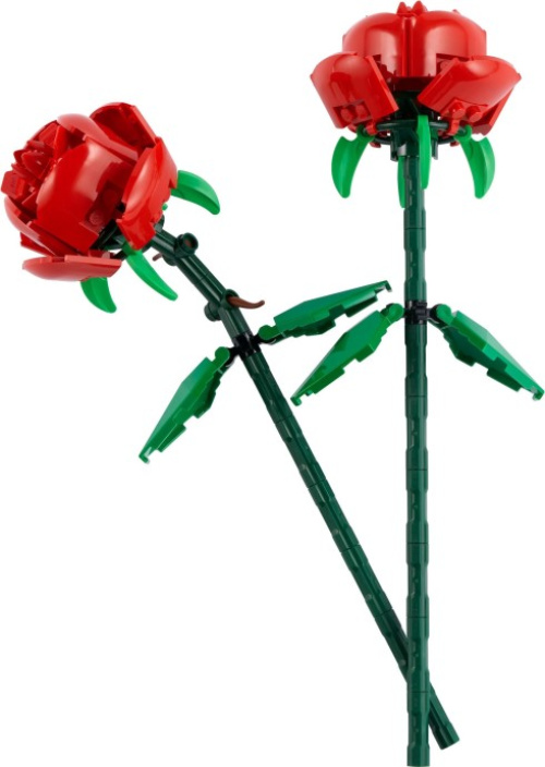 40460-1 Roses