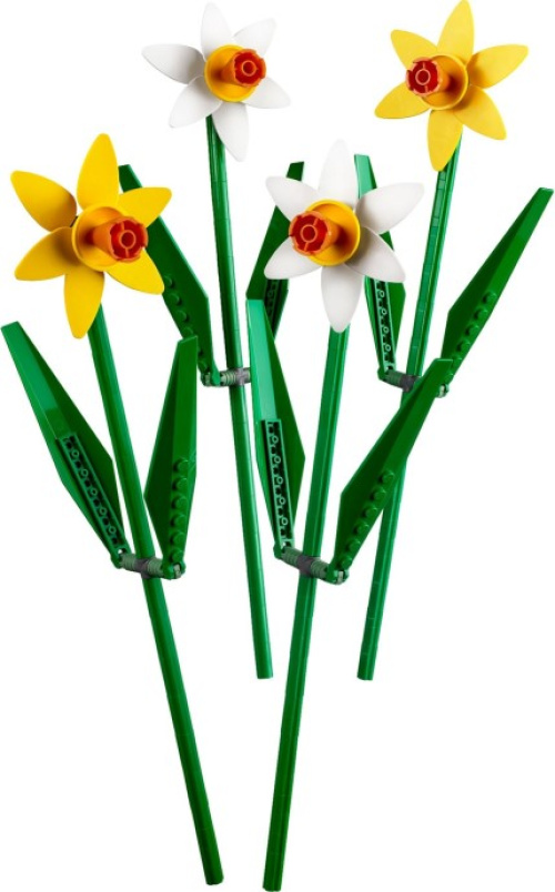 40646-1 Daffodils
