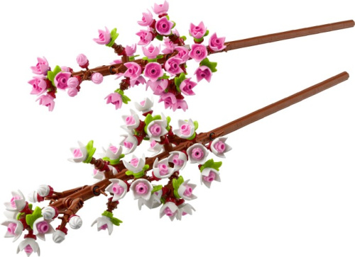 40725-1 Cherry Blossoms