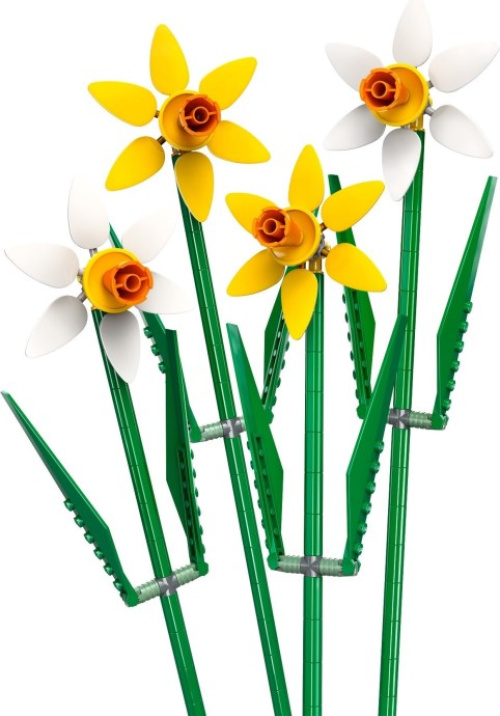 40747-1 Daffodils