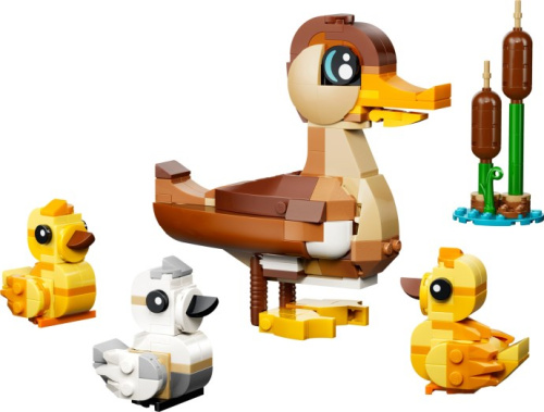 40885-1 Duck Family