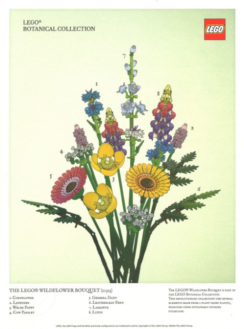 5007799-1 Wildflower Bouquet Art Print