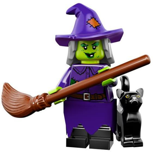 71010-4 Wacky Witch