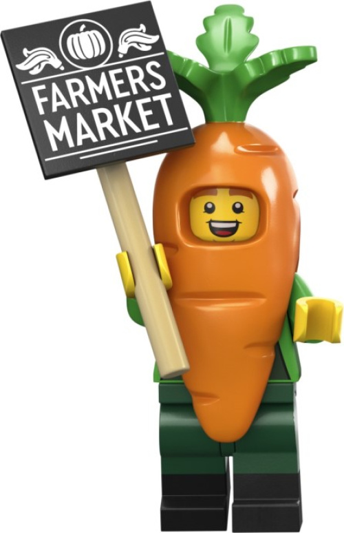 71037-4 Carrot Mascot