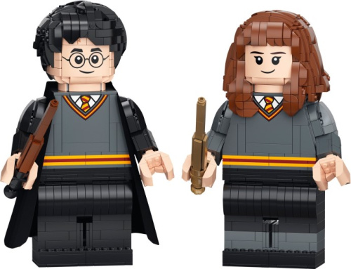 76393-1 Harry Potter & Hermione Granger